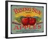 Warshaw Collection of Business Americana Food; Fruit Crate Labels, F.E. Nellis & Co.-null-Framed Art Print