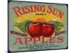 Warshaw Collection of Business Americana Food; Fruit Crate Labels, F.E. Nellis & Co.-null-Mounted Art Print