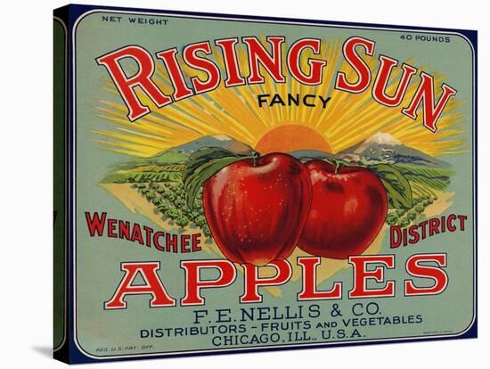 Warshaw Collection of Business Americana Food; Fruit Crate Labels, F.E. Nellis & Co.-null-Stretched Canvas