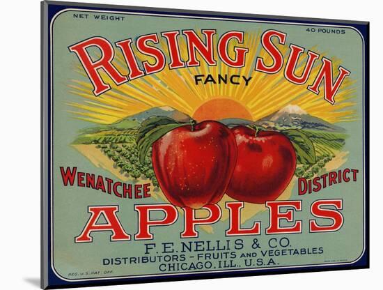 Warshaw Collection of Business Americana Food; Fruit Crate Labels, F.E. Nellis & Co.-null-Mounted Art Print