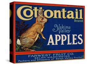 Warshaw Collection of Business Americana Food; Fruit Crate Labels, Farwest Fruit Co.-null-Stretched Canvas