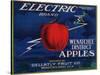 Warshaw Collection of Business Americana Food; Fruit Crate Labels, Gellatly Fruit Co.-null-Stretched Canvas