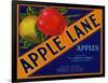 Warshaw Collection of Business Americana Food; Fruit Crate Labels, H.S. Denison & Co.-null-Framed Art Print