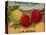 Warshaw Collection of Business Americana Food; Fruit Crate Labels, J. M. Palmer-null-Stretched Canvas