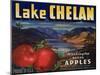 Warshaw Collection of Business Americana Food; Fruit Crate Labels, Lake Chelan Growers Union-null-Mounted Art Print