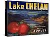 Warshaw Collection of Business Americana Food; Fruit Crate Labels, Lake Chelan Growers Union-null-Stretched Canvas