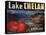 Warshaw Collection of Business Americana Food; Fruit Crate Labels, Lake Chelan Growers Union-null-Stretched Canvas