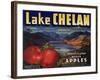 Warshaw Collection of Business Americana Food; Fruit Crate Labels, Lake Chelan Growers Union-null-Framed Art Print