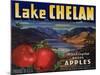 Warshaw Collection of Business Americana Food; Fruit Crate Labels, Lake Chelan Growers Union-null-Mounted Art Print