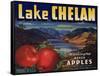 Warshaw Collection of Business Americana Food; Fruit Crate Labels, Lake Chelan Growers Union-null-Framed Stretched Canvas