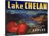 Warshaw Collection of Business Americana Food; Fruit Crate Labels, Lake Chelan Growers Union-null-Stretched Canvas