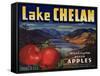 Warshaw Collection of Business Americana Food; Fruit Crate Labels, Lake Chelan Growers Union-null-Framed Stretched Canvas