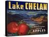 Warshaw Collection of Business Americana Food; Fruit Crate Labels, Lake Chelan Growers Union-null-Stretched Canvas