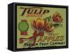 Warshaw Collection of Business Americana Food; Fruit Crate Labels, Perham Fruit Company-null-Framed Stretched Canvas