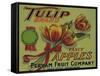 Warshaw Collection of Business Americana Food; Fruit Crate Labels, Perham Fruit Company-null-Framed Stretched Canvas