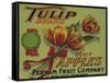 Warshaw Collection of Business Americana Food; Fruit Crate Labels, Perham Fruit Company-null-Framed Stretched Canvas