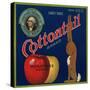 Warshaw Collection of Business Americana Food; Fruit Crate Labels, Stratford Orchards Co.-null-Stretched Canvas