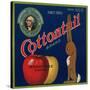 Warshaw Collection of Business Americana Food; Fruit Crate Labels, Stratford Orchards Co.-null-Stretched Canvas