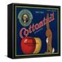 Warshaw Collection of Business Americana Food; Fruit Crate Labels, Stratford Orchards Co.-null-Framed Stretched Canvas