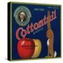 Warshaw Collection of Business Americana Food; Fruit Crate Labels, Stratford Orchards Co.-null-Stretched Canvas