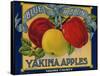 Warshaw Collection of Business Americana Food; Fruit Crate Labels, Yakima Horticultural Union-null-Framed Stretched Canvas