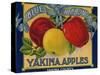 Warshaw Collection of Business Americana Food; Fruit Crate Labels, Yakima Horticultural Union-null-Stretched Canvas