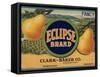 Warshaw Collection of Business Americana Food; Fruit Crate Labels-null-Framed Stretched Canvas