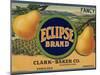 Warshaw Collection of Business Americana Food; Fruit Crate Labels-null-Mounted Art Print
