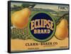 Warshaw Collection of Business Americana Food; Fruit Crate Labels-null-Framed Stretched Canvas