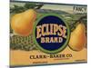 Warshaw Collection of Business Americana Food; Fruit Crate Labels-null-Mounted Art Print