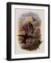 Warszewicz's Rainbow, Diphlog?na Aurora-John Gould-Framed Giclee Print