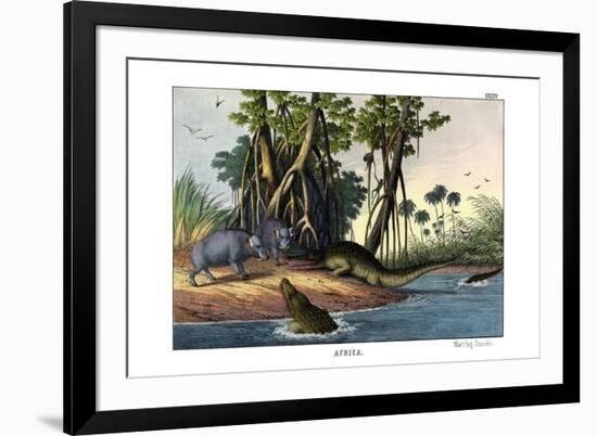 Warthog, 1860-null-Framed Giclee Print