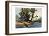 Warthog, 1860-null-Framed Giclee Print