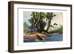 Warthog, 1860-null-Framed Giclee Print