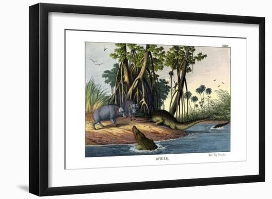 Warthog, 1860-null-Framed Giclee Print