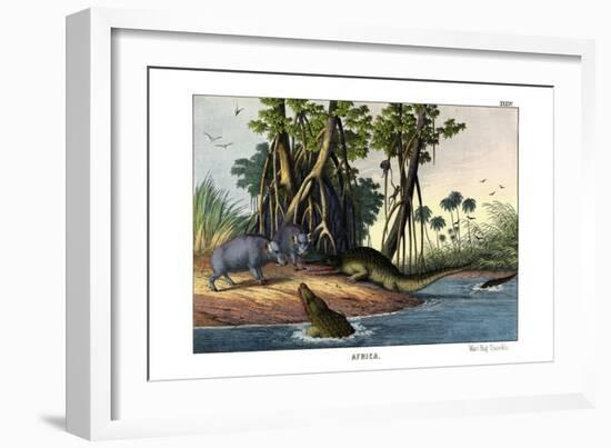 Warthog, 1860-null-Framed Giclee Print