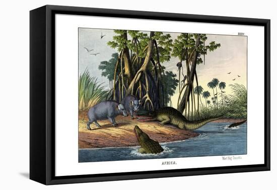 Warthog, 1860-null-Framed Stretched Canvas