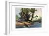 Warthog, 1860-null-Framed Premium Giclee Print