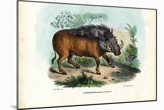 Warthog, 1863-79-Raimundo Petraroja-Mounted Giclee Print