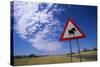 Warthog Crossing Sign-Paul Souders-Stretched Canvas