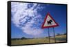 Warthog Crossing Sign-Paul Souders-Framed Stretched Canvas