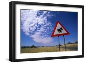 Warthog Crossing Sign-Paul Souders-Framed Premium Photographic Print