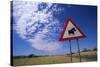 Warthog Crossing Sign-Paul Souders-Stretched Canvas
