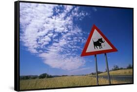 Warthog Crossing Sign-Paul Souders-Framed Stretched Canvas