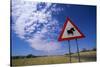 Warthog Crossing Sign-Paul Souders-Stretched Canvas