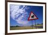 Warthog Crossing Sign-Paul Souders-Framed Photographic Print