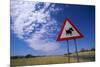 Warthog Crossing Sign-Paul Souders-Mounted Photographic Print