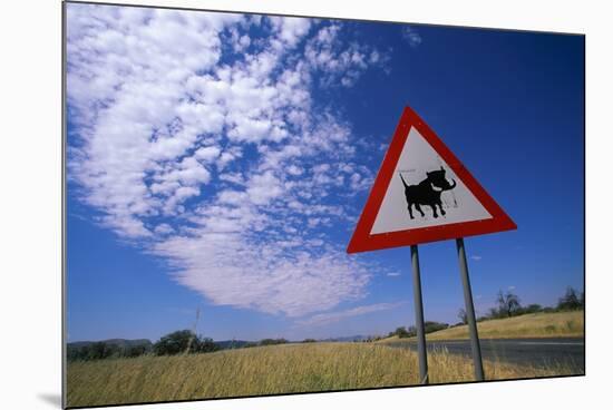 Warthog Crossing Sign-Paul Souders-Mounted Photographic Print