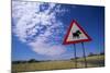 Warthog Crossing Sign-Paul Souders-Mounted Photographic Print