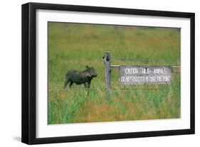 Warthog in Kenya-Buddy Mays-Framed Photographic Print